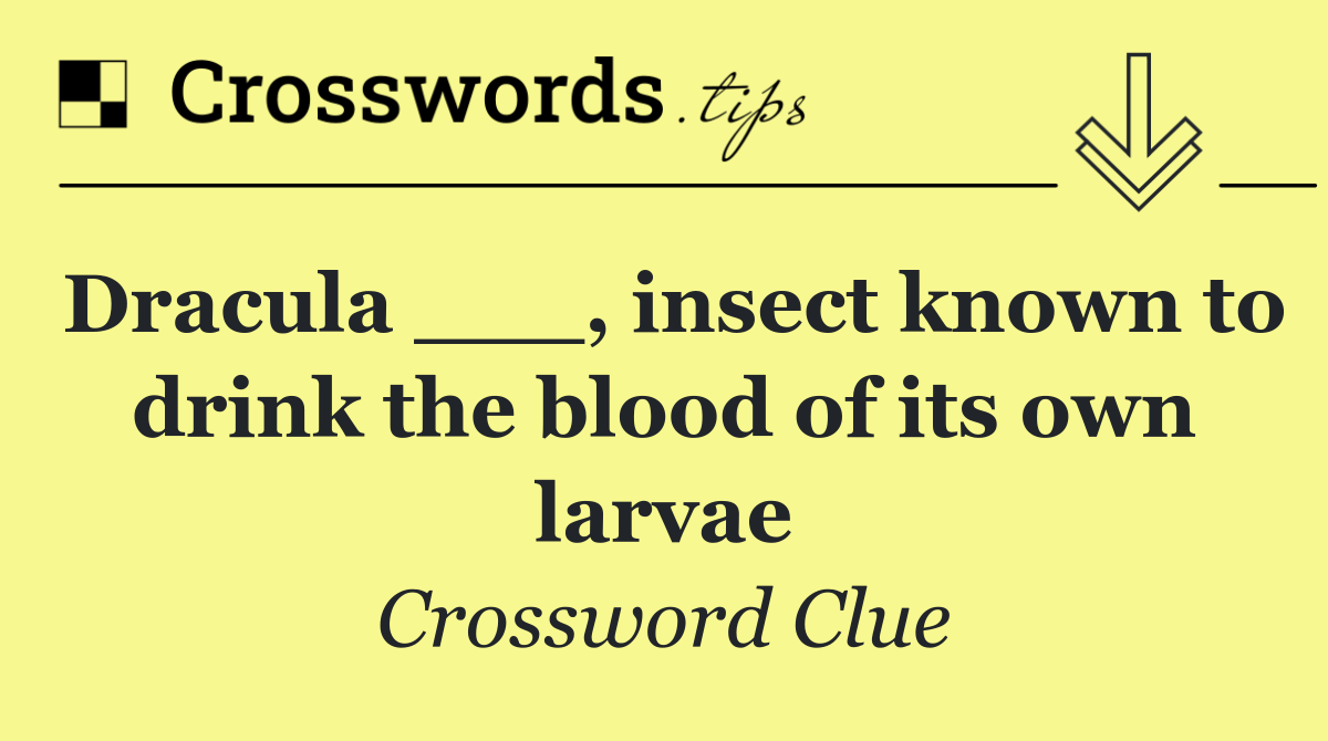 Dracula ___, insect known to drink the blood of its own larvae