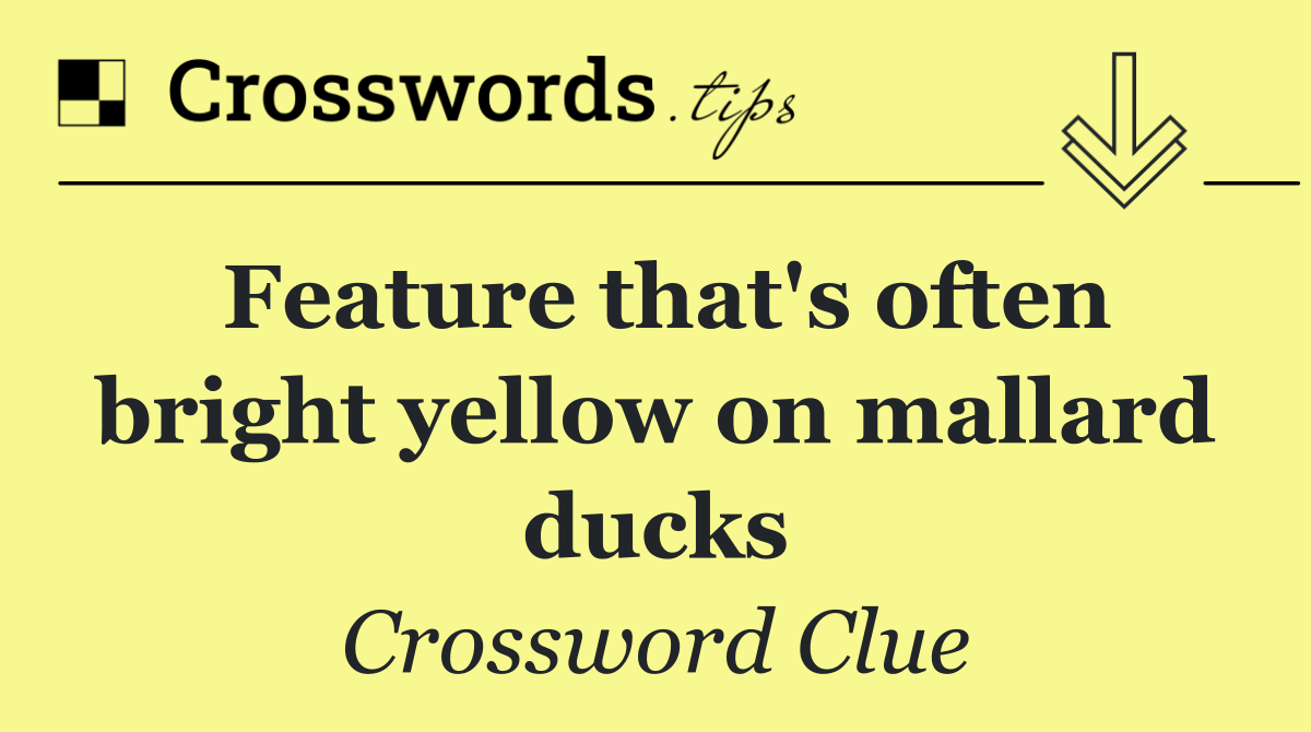 Feature that's often bright yellow on mallard ducks