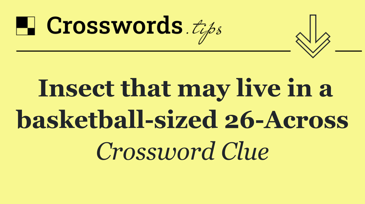 Insect that may live in a basketball sized 26 Across