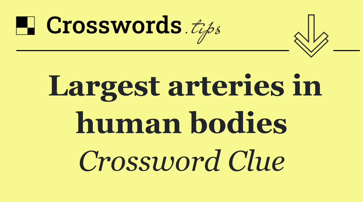 Largest arteries in human bodies