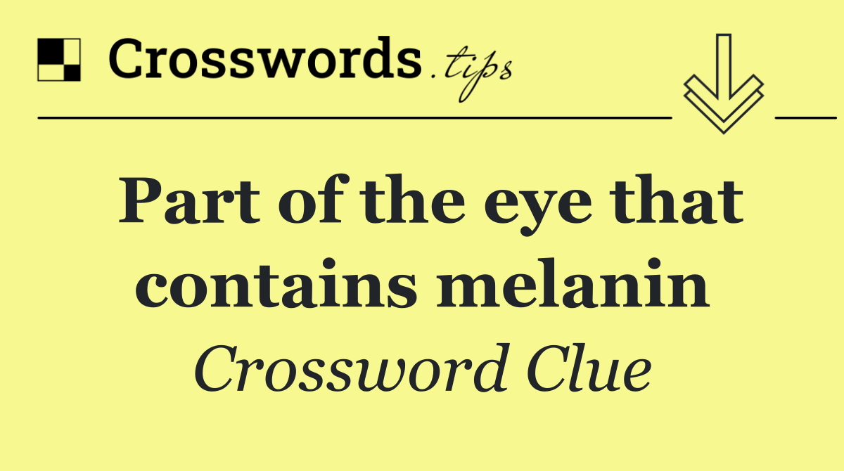 Part of the eye that contains melanin