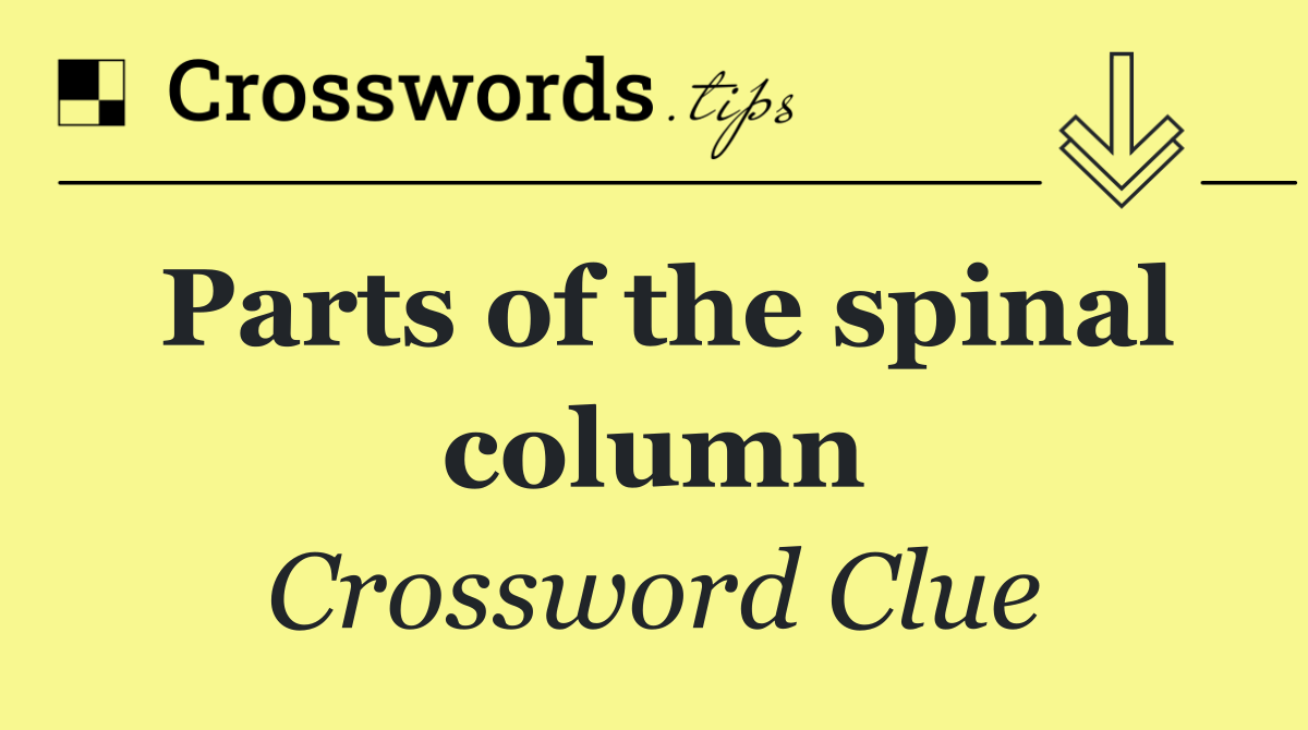 Parts of the spinal column