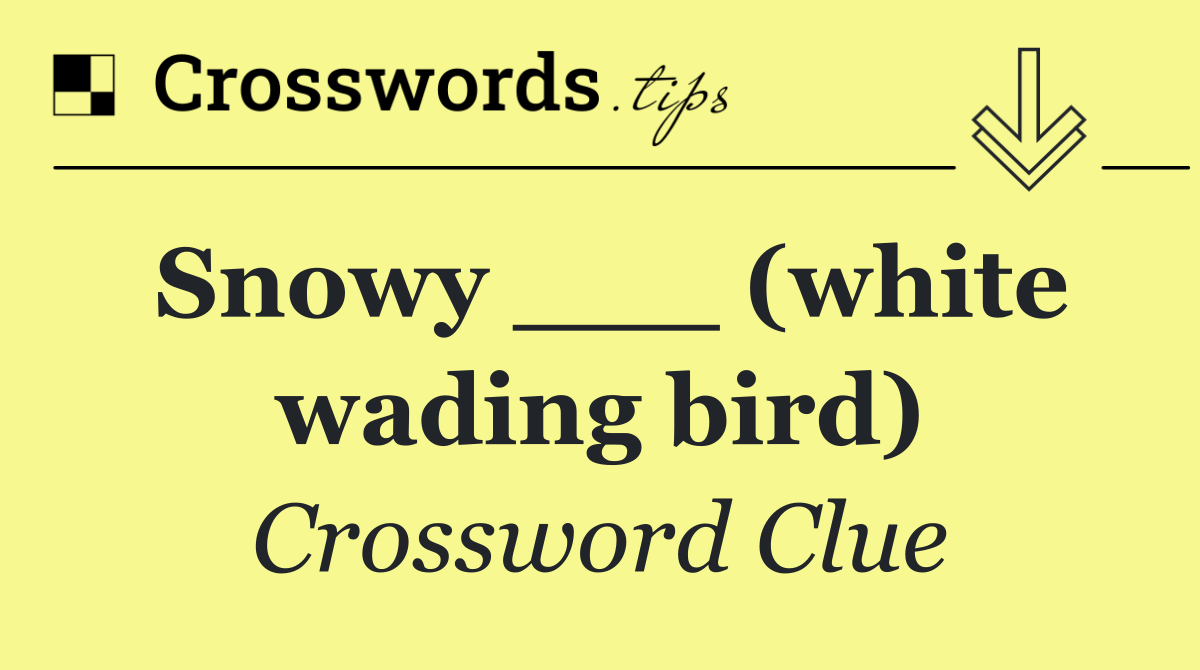 Snowy ___ (white wading bird)