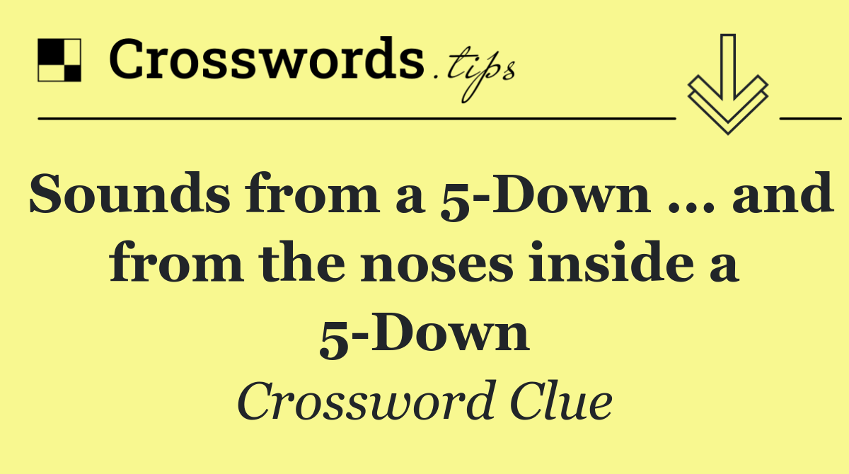 Sounds from a 5 Down ... and from the noses inside a 5 Down