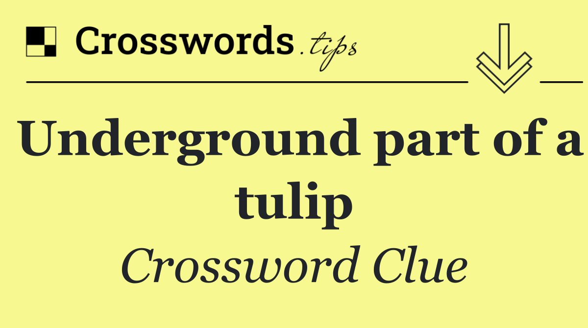 Underground part of a tulip