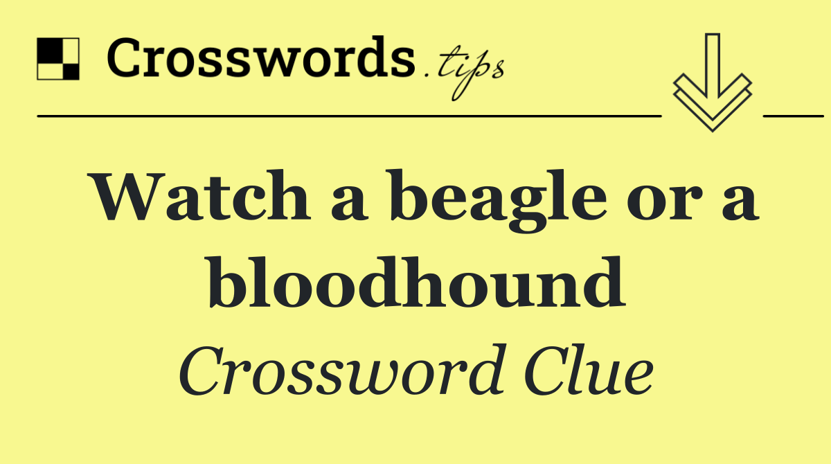 Watch a beagle or a bloodhound