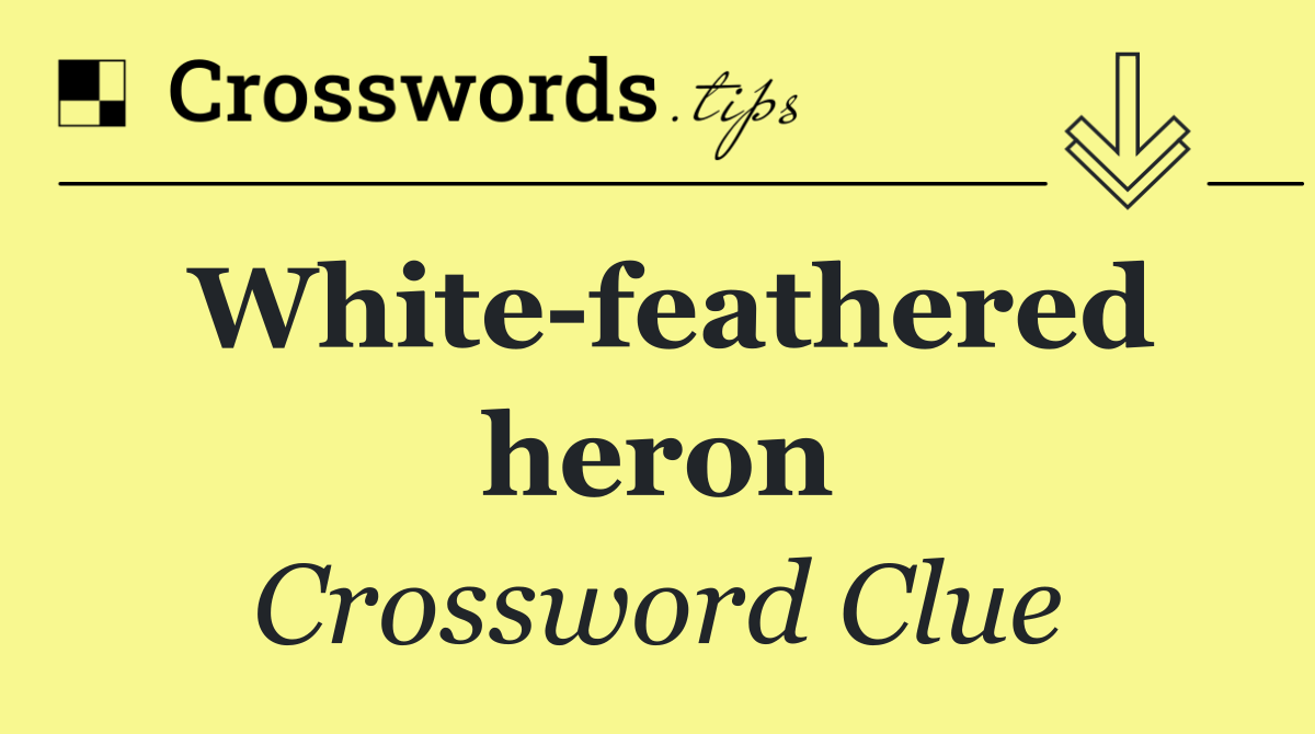 White feathered heron