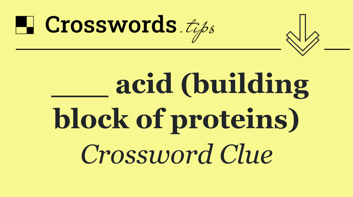 ___ acid (building block of proteins)