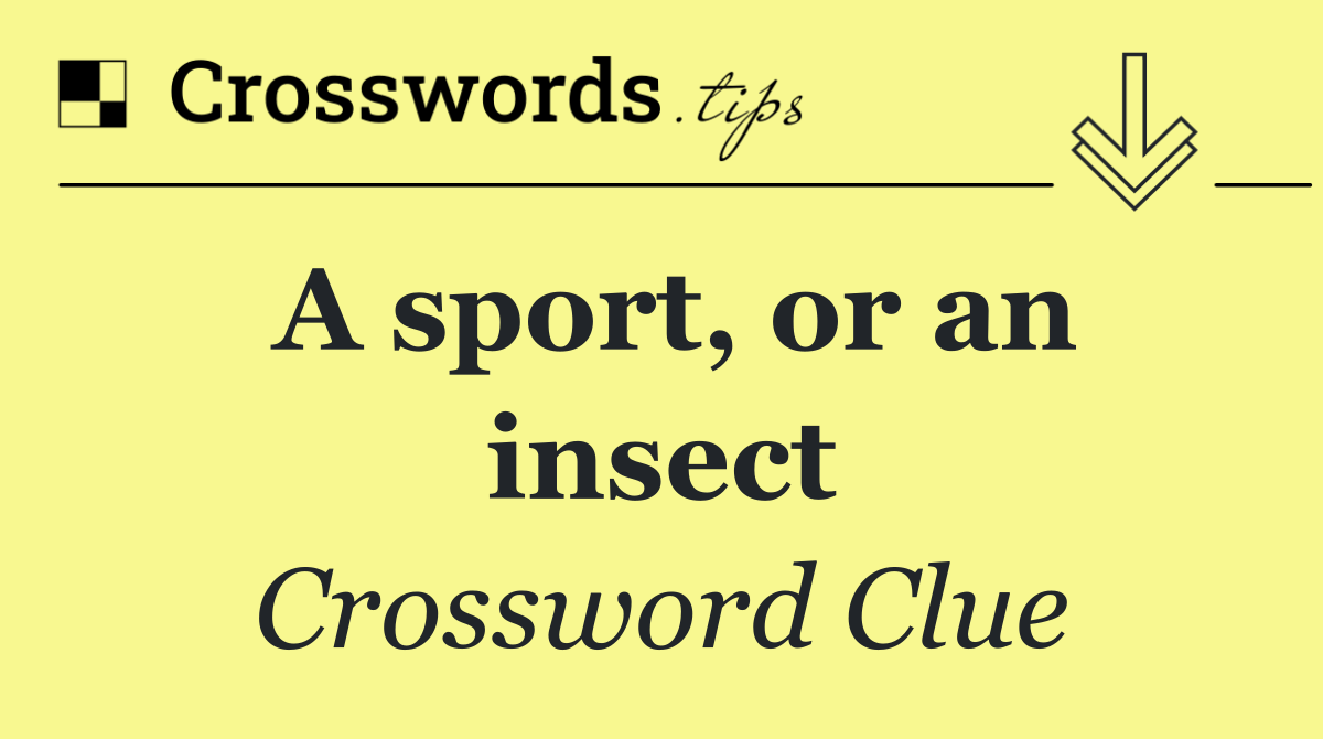 A sport, or an insect