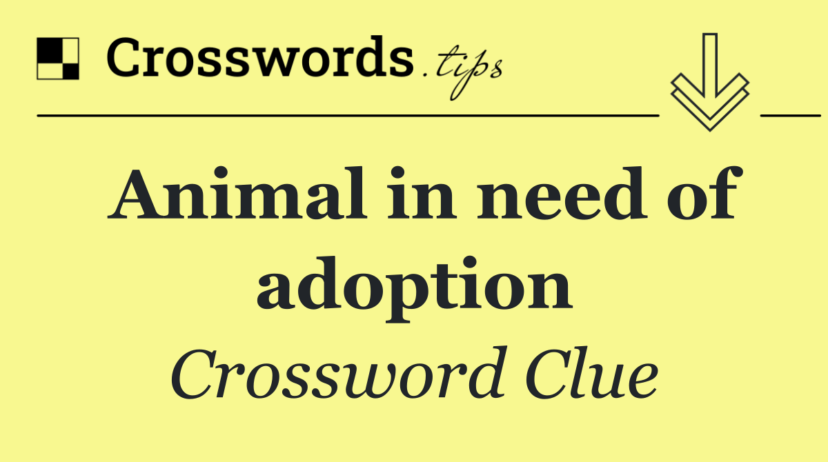 Animal in need of adoption