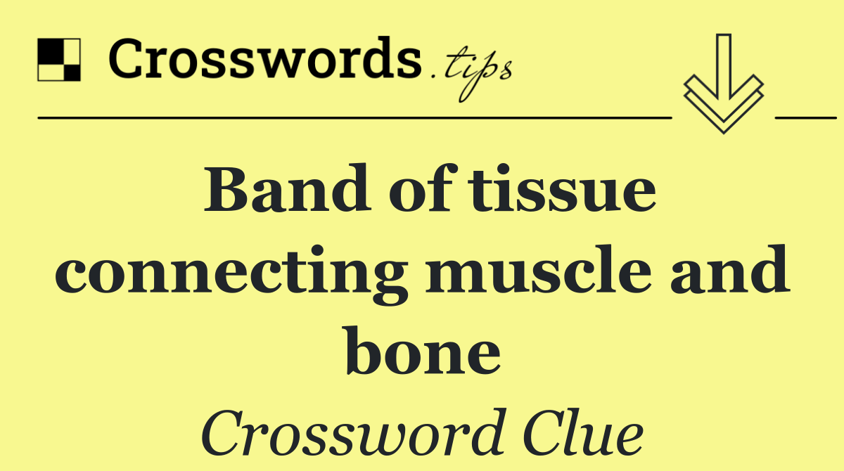 Band of tissue connecting muscle and bone