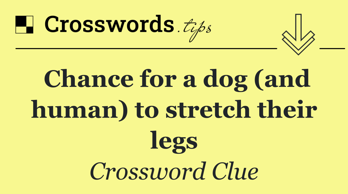Chance for a dog (and human) to stretch their legs