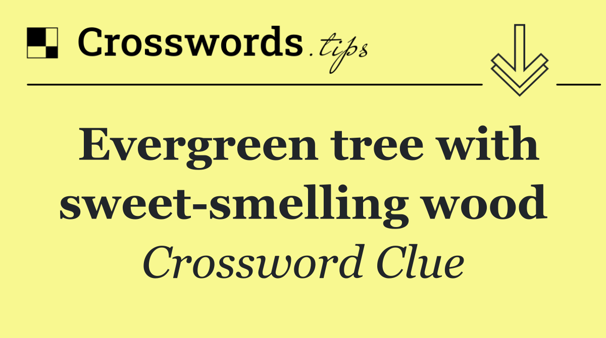 Evergreen tree with sweet smelling wood