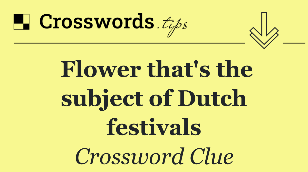 Flower that's the subject of Dutch festivals