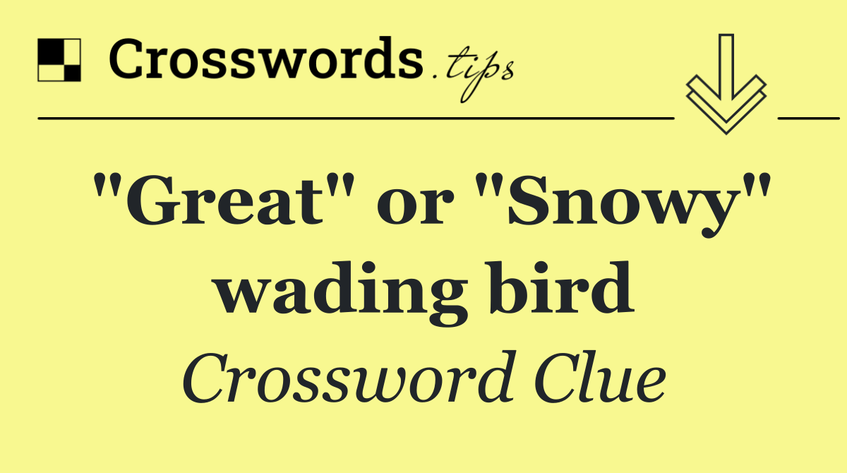 "Great" or "Snowy" wading bird