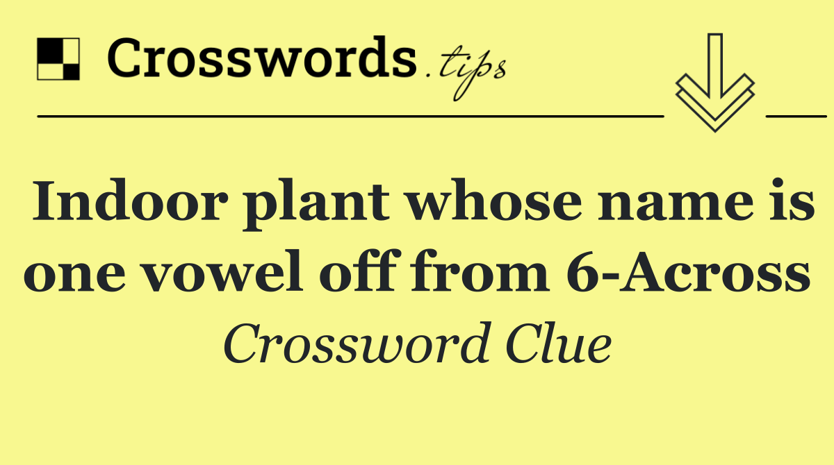 Indoor plant whose name is one vowel off from 6 Across