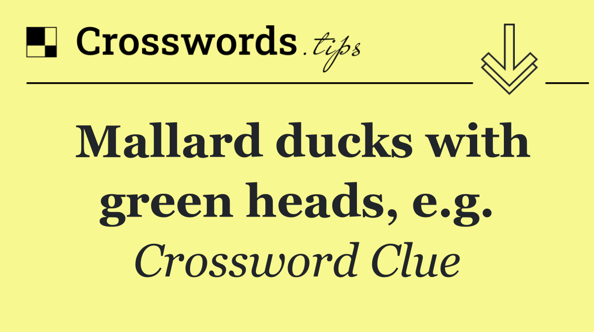 Mallard ducks with green heads, e.g.