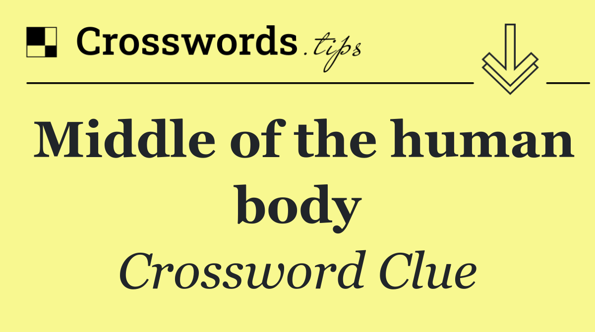 Middle of the human body