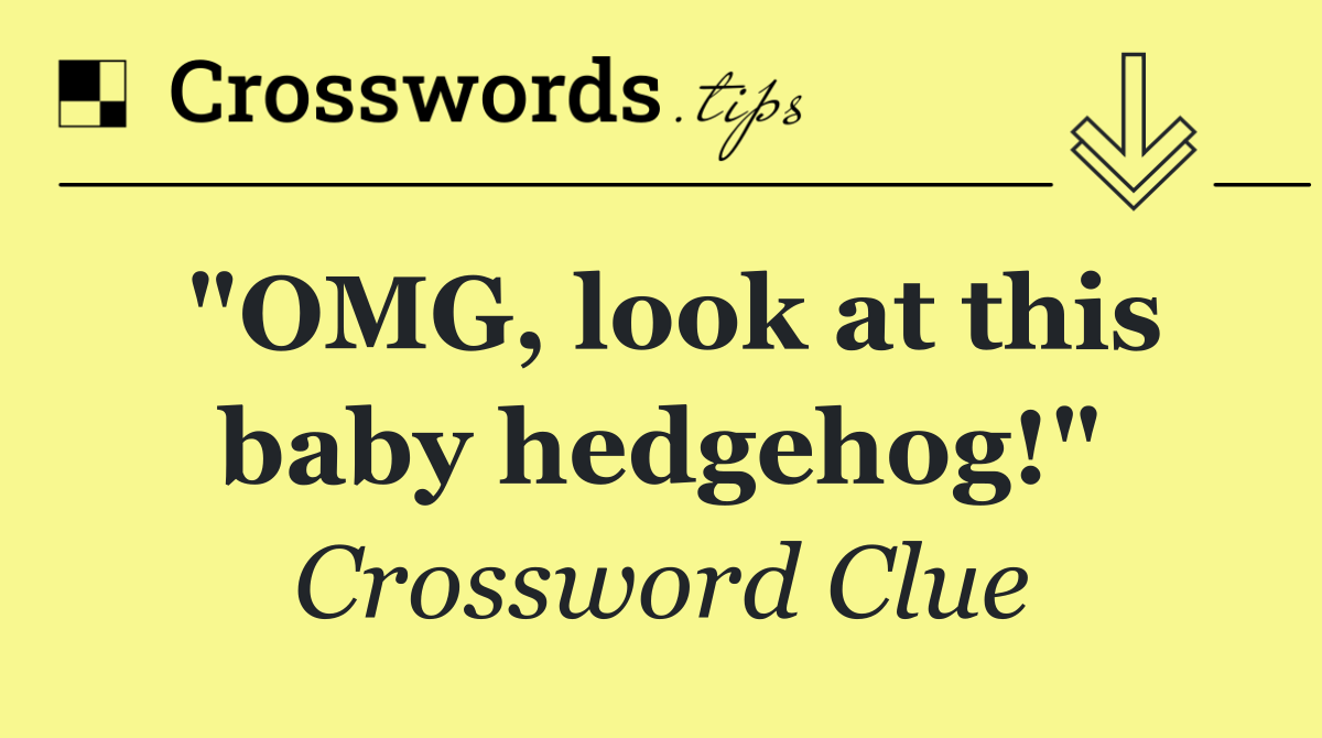 "OMG, look at this baby hedgehog!"