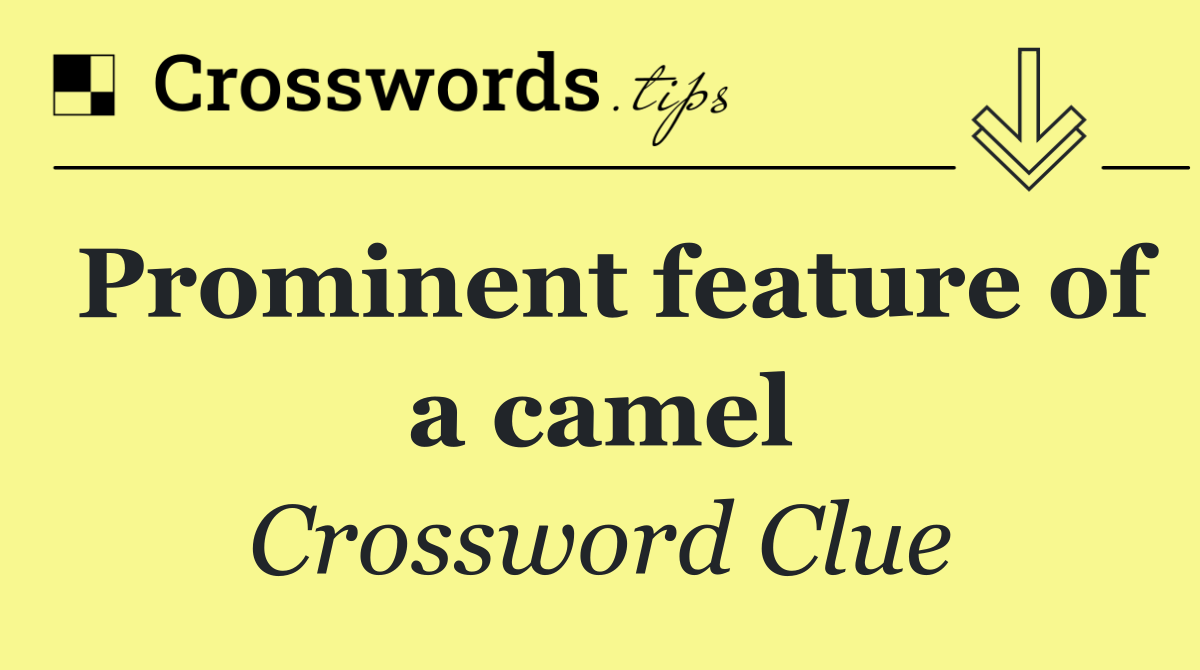 Prominent feature of a camel