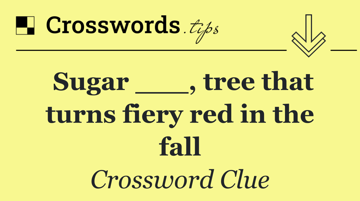 Sugar ___, tree that turns fiery red in the fall