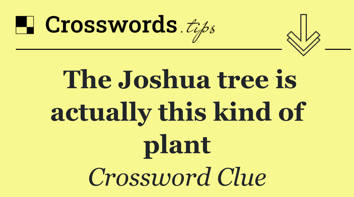 The Joshua tree is actually this kind of plant