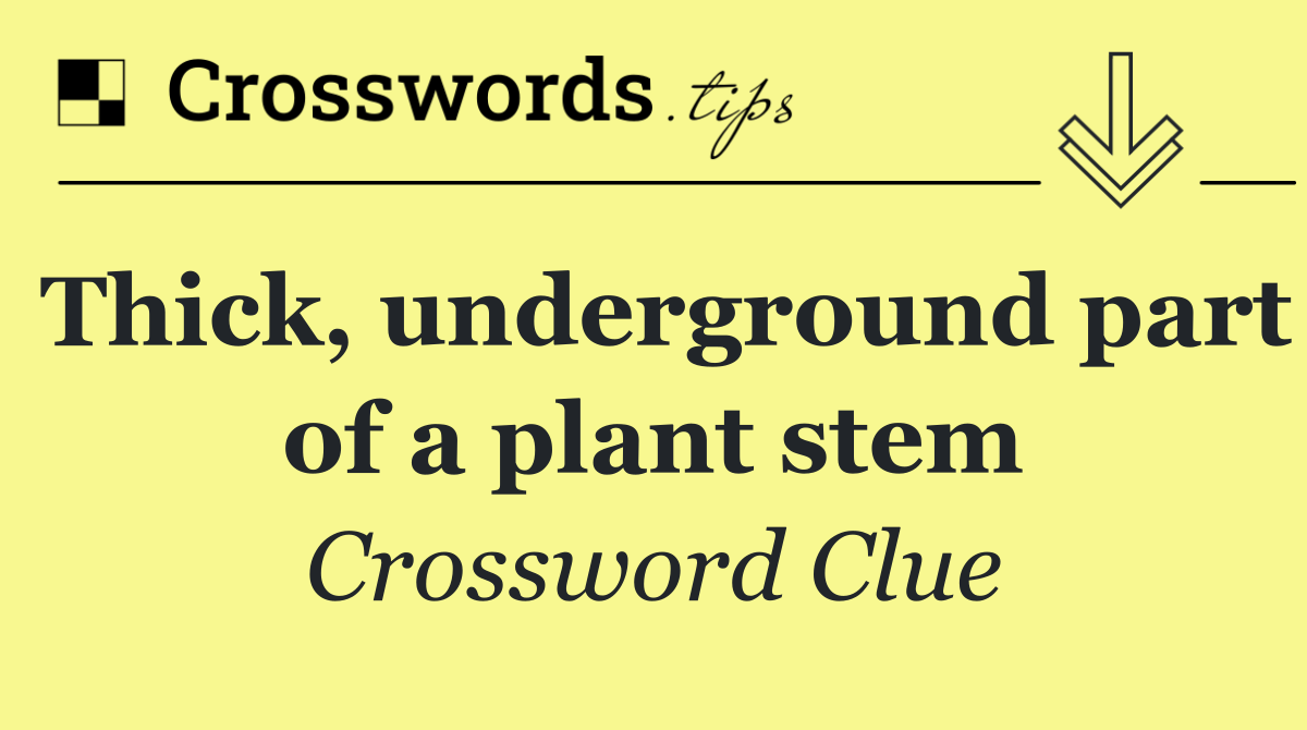 Thick, underground part of a plant stem