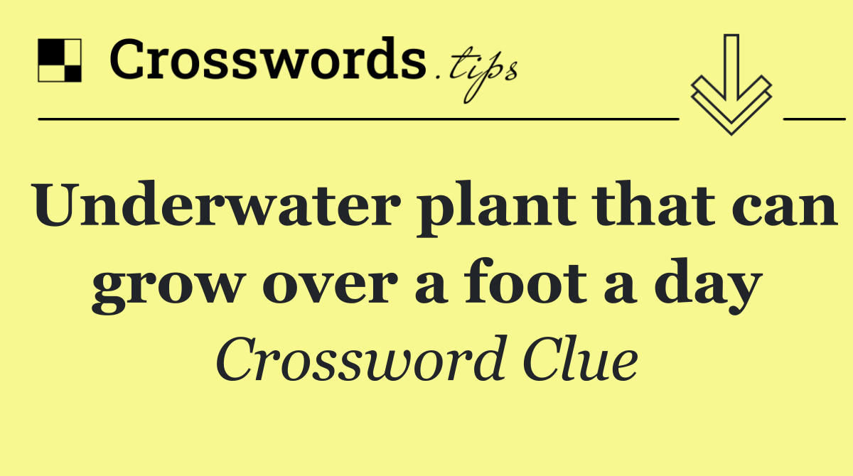 Underwater plant that can grow over a foot a day