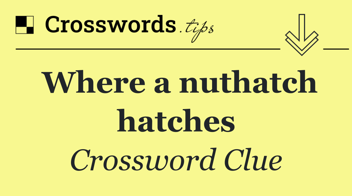 Where a nuthatch hatches