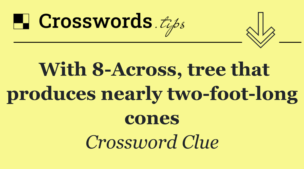 With 8 Across, tree that produces nearly two foot long cones