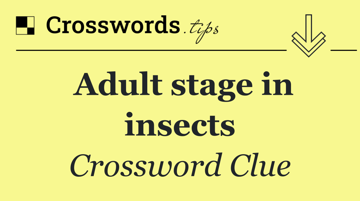 Adult stage in insects