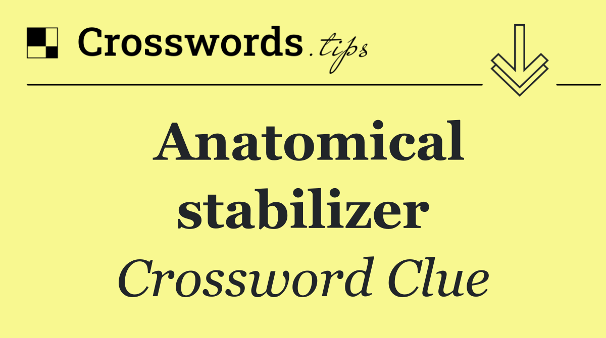 Anatomical stabilizer