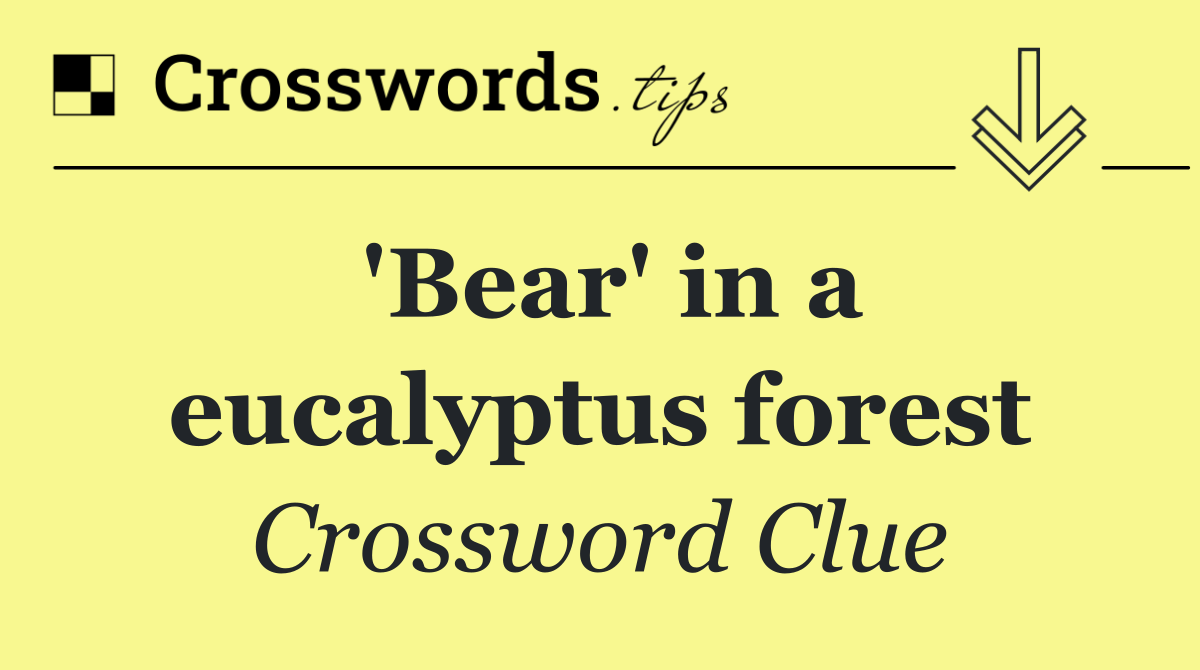 'Bear' in a eucalyptus forest