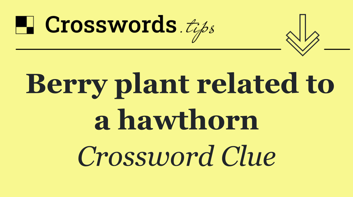 Berry plant related to a hawthorn