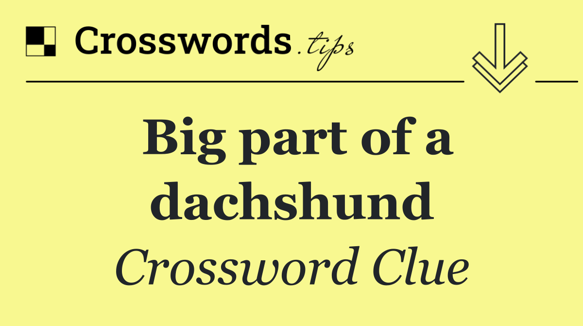 Big part of a dachshund