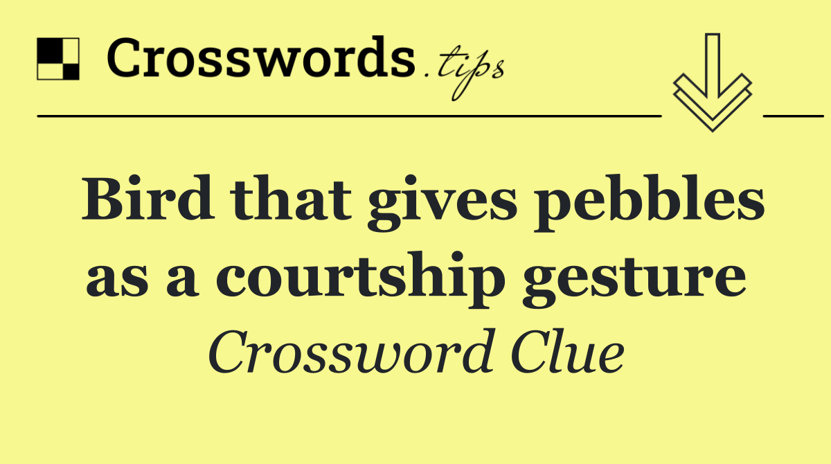 Bird that gives pebbles as a courtship gesture