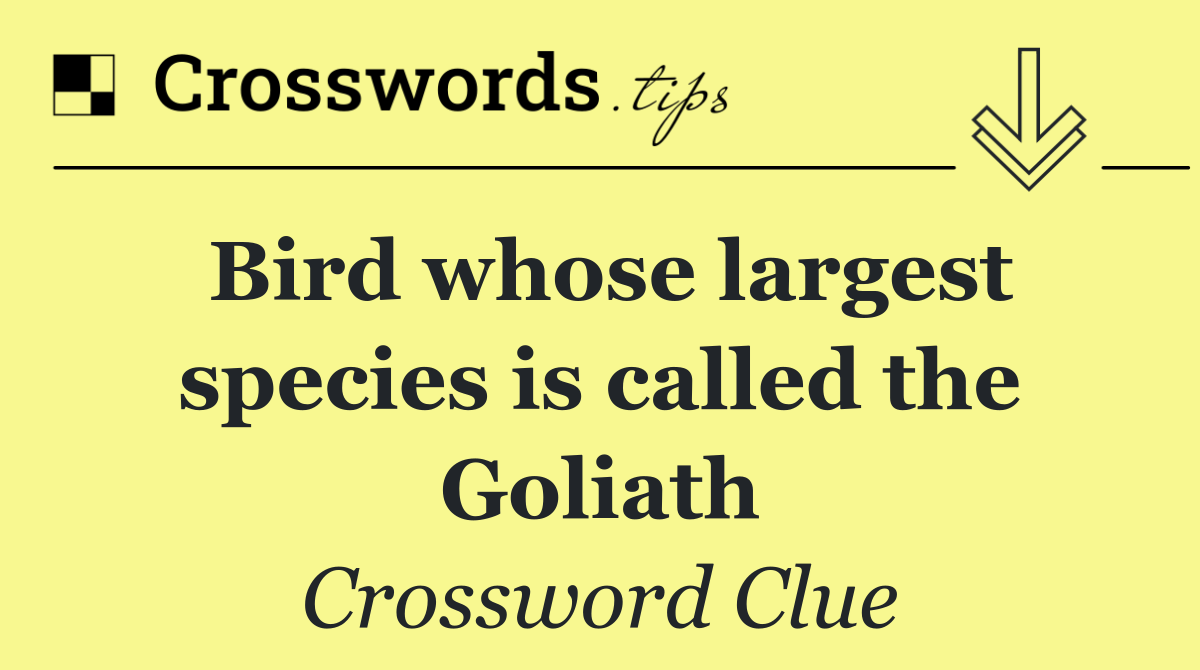 Bird whose largest species is called the Goliath