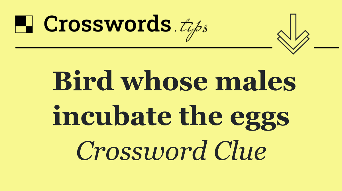 Bird whose males incubate the eggs