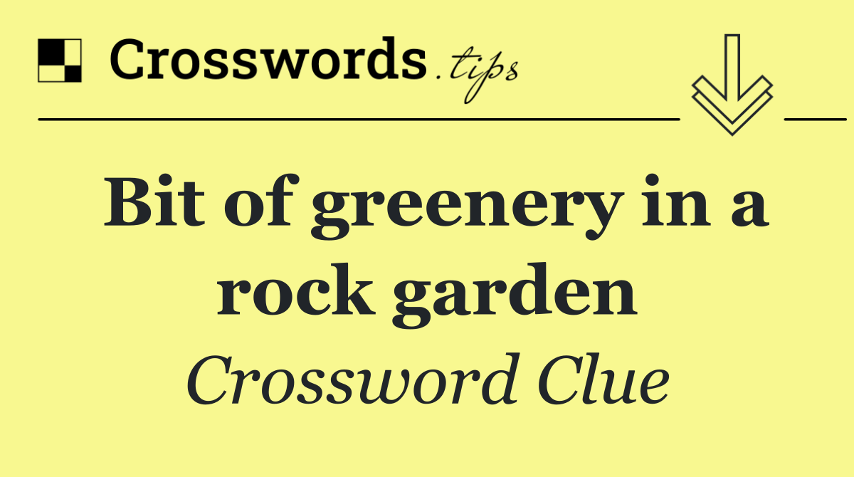 Bit of greenery in a rock garden