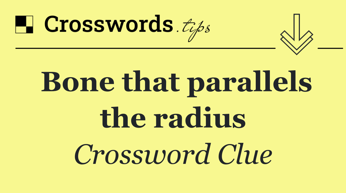 Bone that parallels the radius