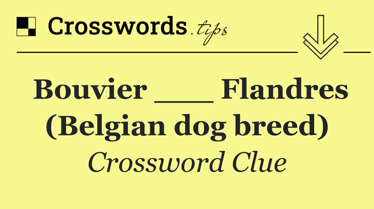 Bouvier ___ Flandres (Belgian dog breed)