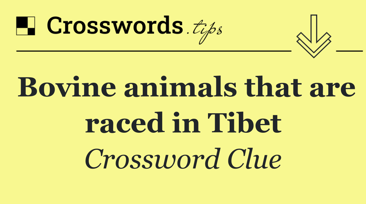 Bovine animals that are raced in Tibet