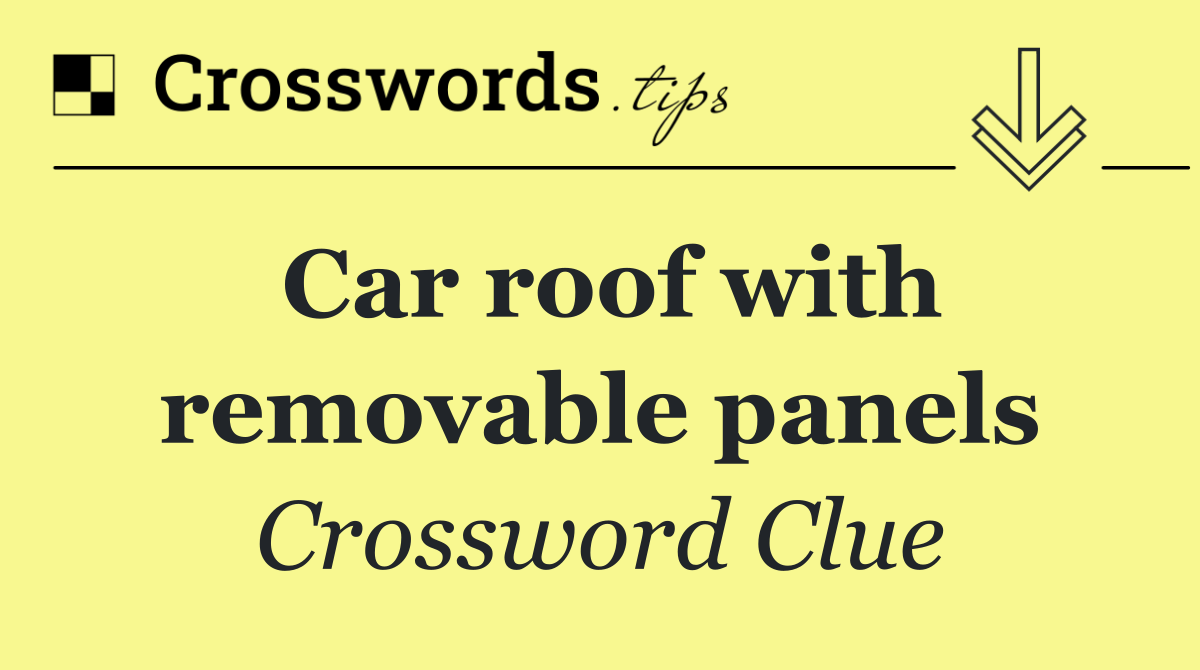 Car roof with removable panels