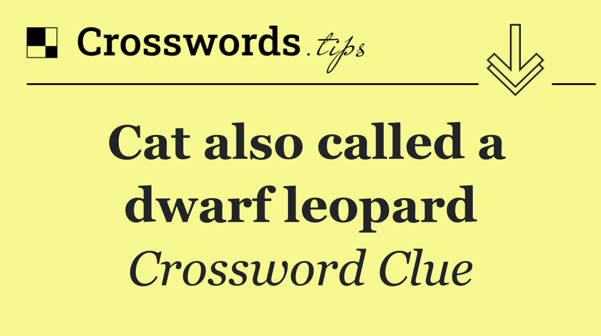 Cat also called a dwarf leopard