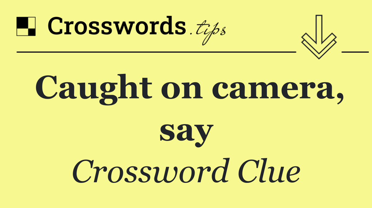 Caught on camera, say