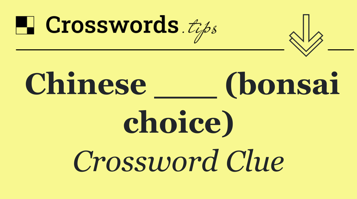 Chinese ___ (bonsai choice)