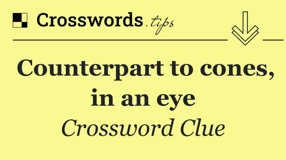 Counterpart to cones, in an eye