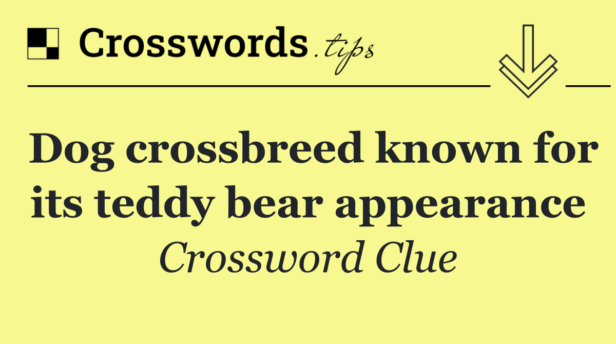 Dog crossbreed known for its teddy bear appearance