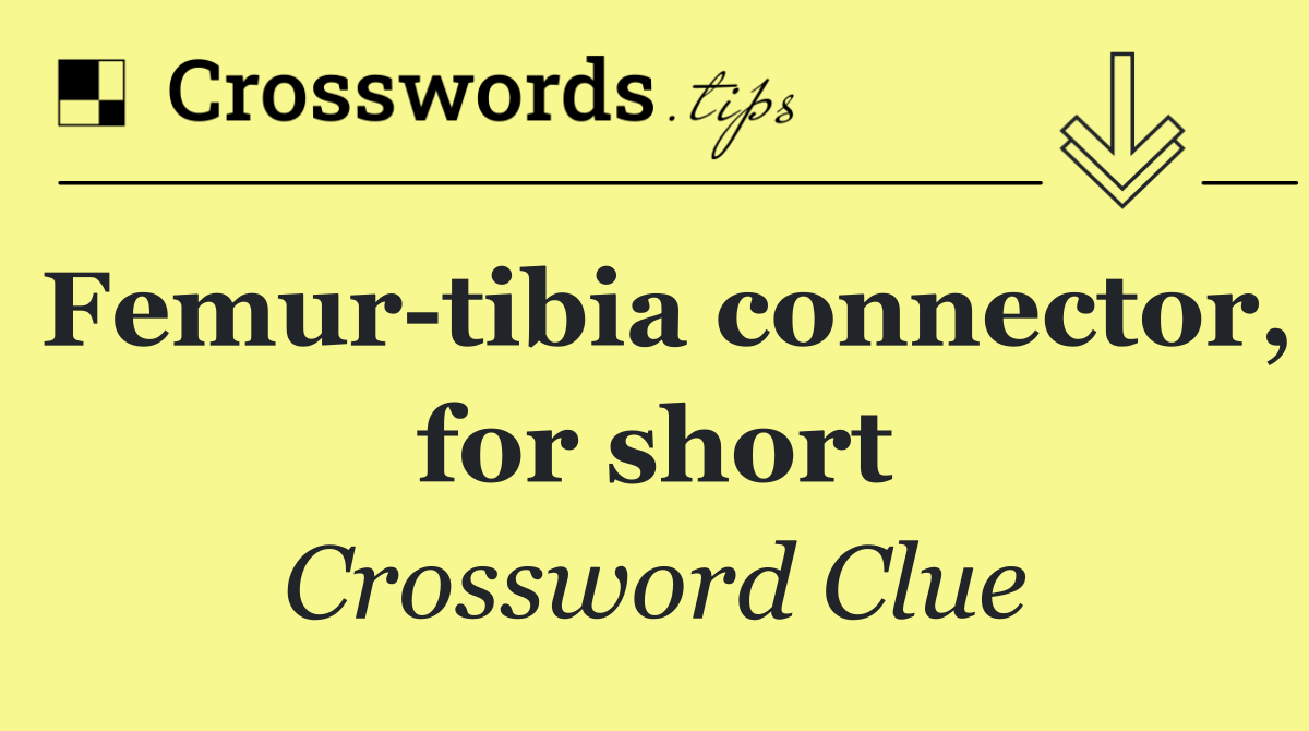 Femur tibia connector, for short