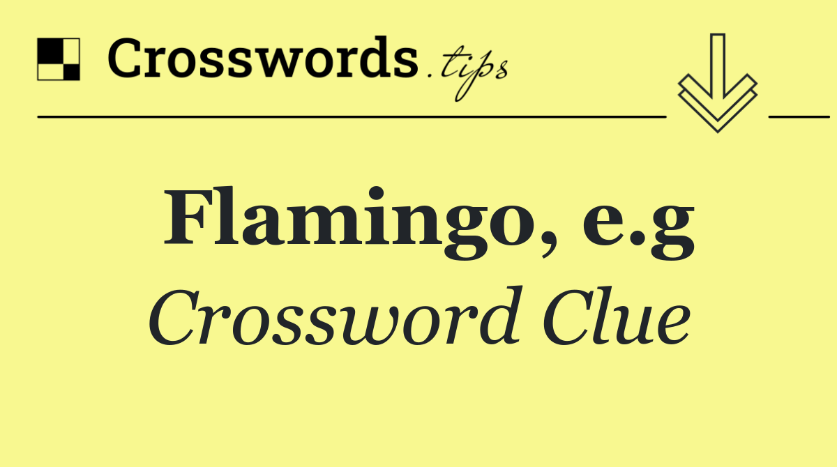 Flamingo, e.g